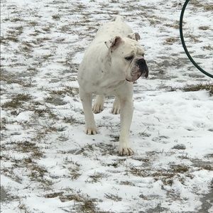 Meet your Posher, Willie